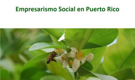 Empresarismo social en Puerto Rico