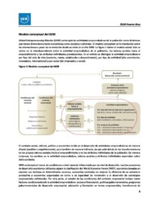 Modelo y metodologia 2017 GEM Puerto Rico